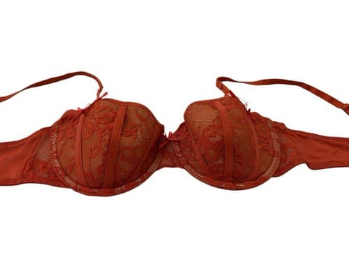Adore Me Rust 34C Bra Bow Accents Push Up Bralette Lingerie Floral Lace - Thumbnail 8