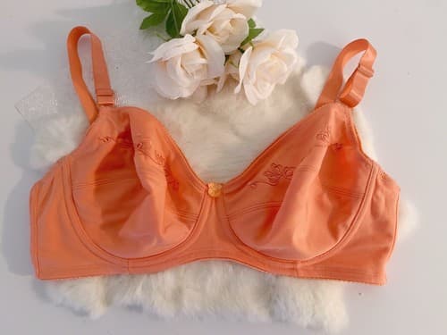 Delta Burke Peach Coral Bra 40C Embroidered Lingerie