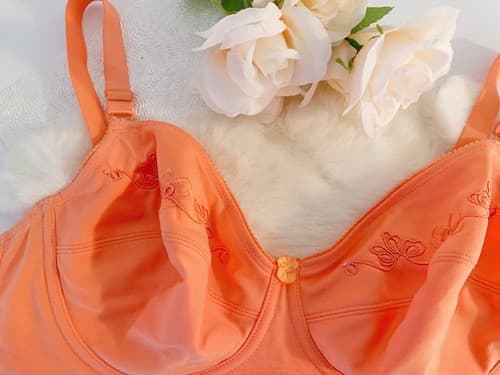Delta Burke Peach Coral Bra 40C Embroidered Lingerie - Thumbnail 3