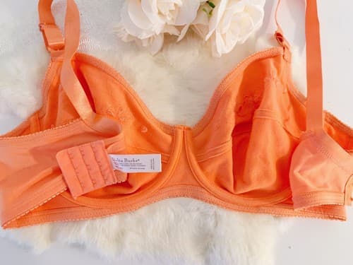 Delta Burke Peach Coral Bra 40C Embroidered Lingerie - Thumbnail 2