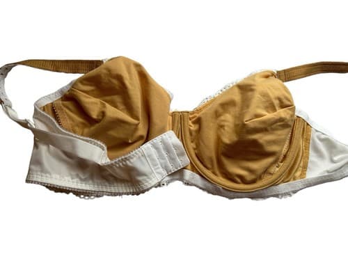42C Classique Nude & White Lace Bra Spring Beige Gold Lingerie Bralette - Thumbnail 2