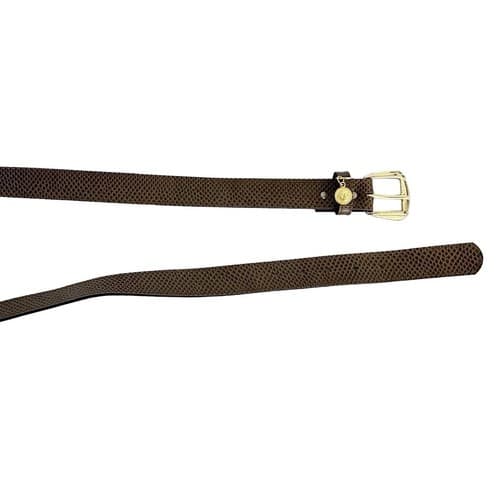 Vintage 1980 Snakeskin Look Belt Brown Gold Skinny Coin Charm Retro Regency Fall - Thumbnail 6