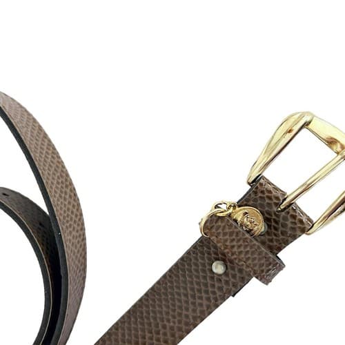 Vintage 1980 Snakeskin Look Belt Brown Gold Skinny Coin Charm Retro Regency Fall - Thumbnail 4