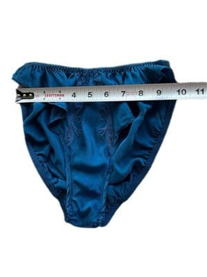 Victoria’s Secret BLUE SILK Hi Cut Panties Size Small Vintage Embroidered Panty - Thumbnail 3
