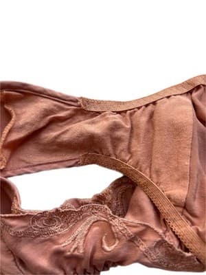 Victoria’s Secret BLUSH SILK Hi Cut Panties Size Small Vintage Embroidered Panty - Thumbnail 8