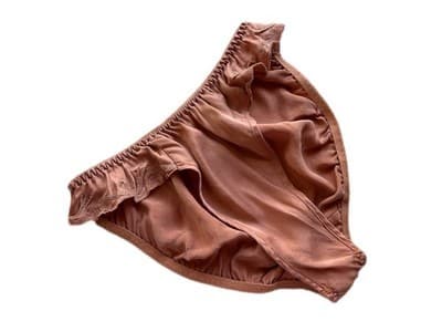 Victoria’s Secret BLUSH SILK Hi Cut Panties Size Small Vintage Embroidered Panty - Thumbnail 4