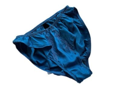 Victoria’s Secret BLUE SILK Hi Cut Panties Size Small Vintage Embroidered Panty - Thumbnail 5