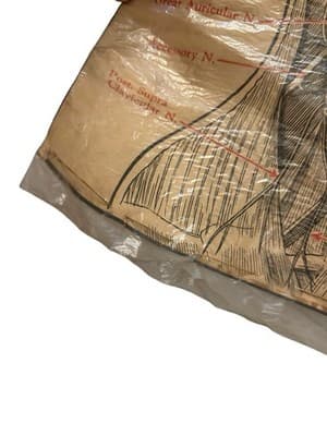 1953 Beauty School Chart Nerves Of The Head 20x15" 1950’s Dark Academia - Thumbnail 3