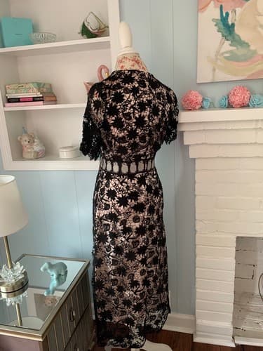 Boutique Crochet Dress Pink Satin Lace Overlay Butterfly Rose Bird Appliqué S - Thumbnail 3