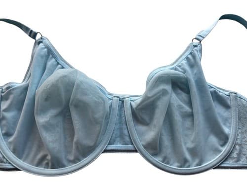 38DDD Maidenform Pastel Baby Blue Floral Lace Bra Lingerie Volup Pinup Coquette - Thumbnail 3
