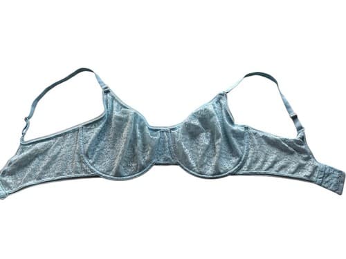 38DDD Maidenform Pastel Baby Blue Floral Lace Bra Lingerie Volup Pinup Coquette - Thumbnail 2