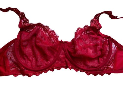 Red Bra 34DD Floral Rose Appliqué Lace Romantic Sexy Lingerie - Thumbnail 4