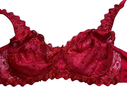 Red Bra 34DD Floral Rose Appliqué Lace Romantic Sexy Lingerie - Thumbnail 2