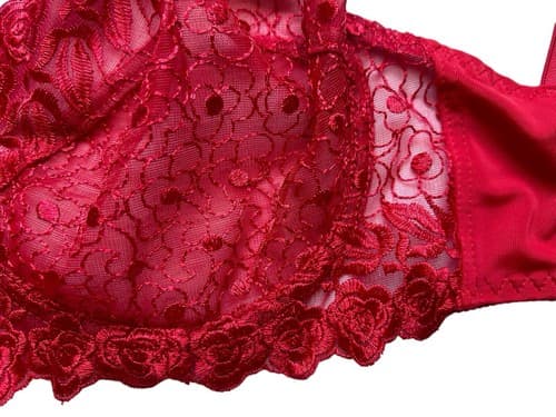 Red Bra 34DD Floral Rose Appliqué Lace Romantic Sexy Lingerie - Thumbnail 5
