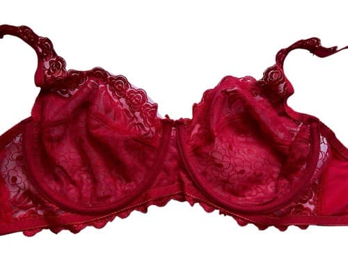 Red Bra 34DD Floral Rose Appliqué Lace Romantic Sexy Lingerie - Thumbnail 3