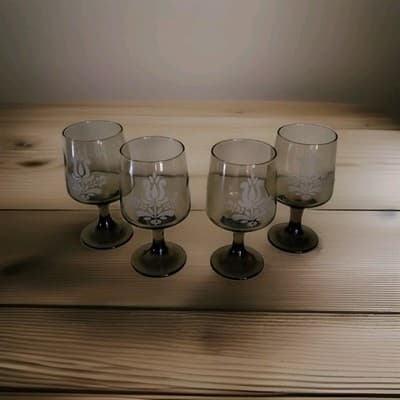 Etched Pfaltzgraff VILLAGE Brown Wine Water Glasses ~ 5 7/8" ~ 10 oz ~ FREE SHIP