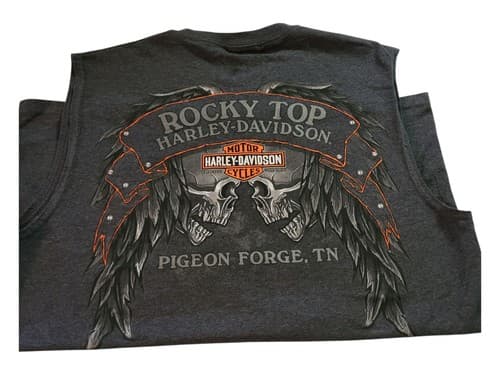 Vintage Harley Davidson Shirt Men’s L Gray Sleeveless - Thumbnail 4