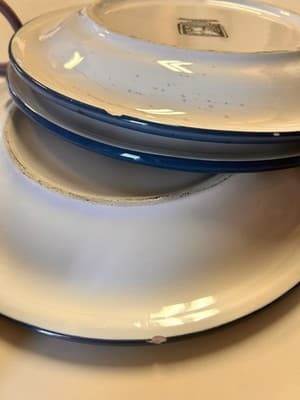 Set of 3 Heritage Mint Black Forest Fruits 10.5 Inch Stoneware Dinner Plates - Thumbnail 5