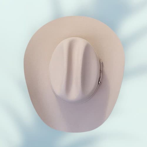 Alan Jackson 2010 Collection Sold By CRACKER Barrell Stetson Cowboy Hat - Thumbnail 4