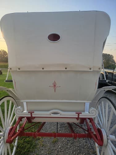 Beautiful Custom Made Amish Carriage. Local Pick Up Only . - Thumbnail 5