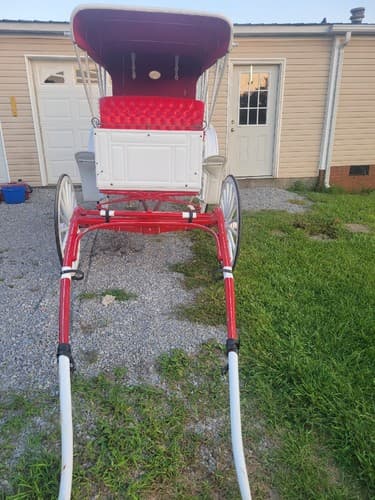 Beautiful Custom Made Amish Carriage. Local Pick Up Only . - Thumbnail 2