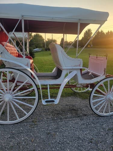 Beautiful Custom Made Amish Carriage. Local Pick Up Only . - Thumbnail 4