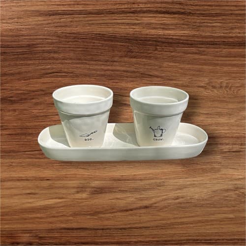 Rae Dunn Flower Pot & Tray Gift Set Plant Grow