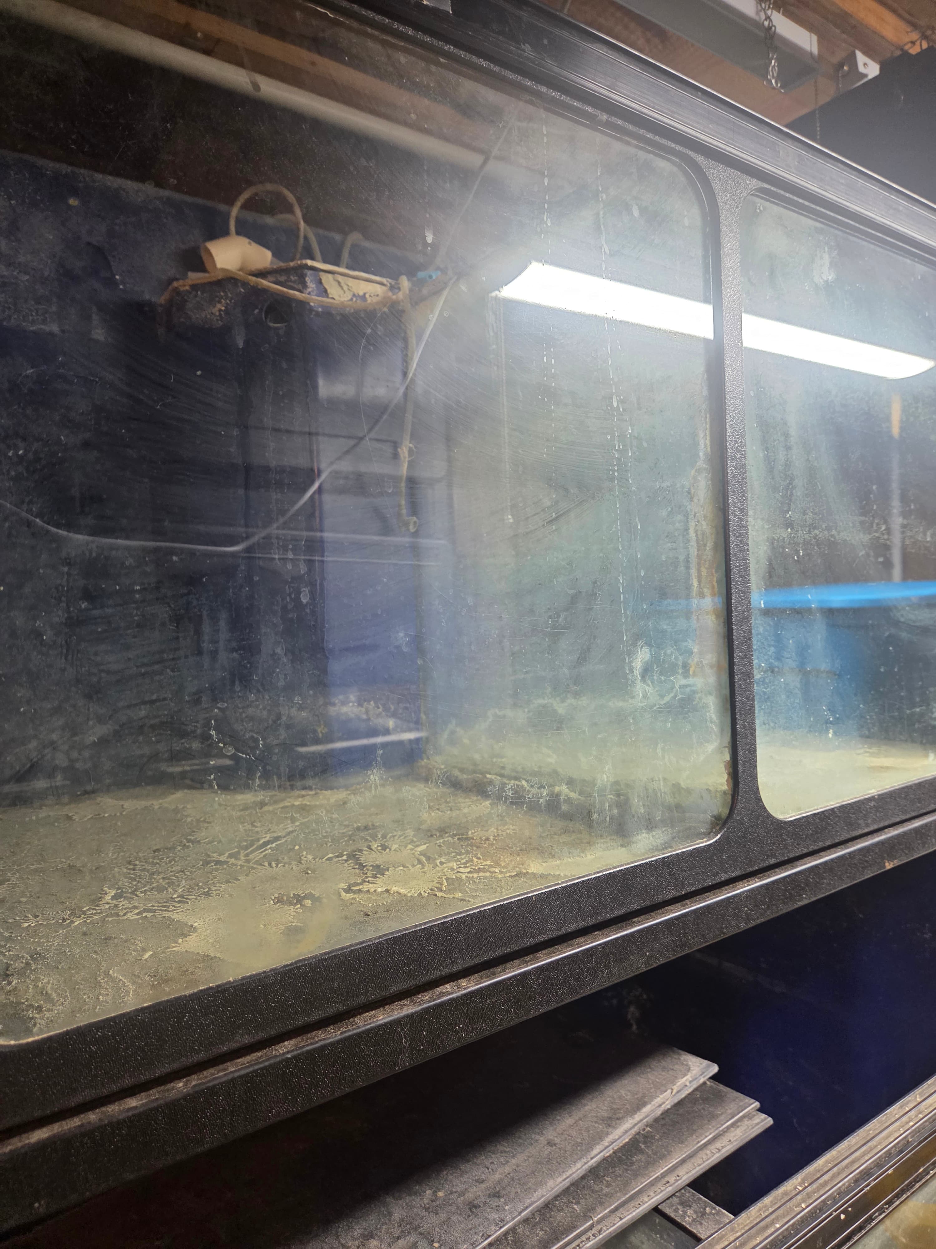 Commercial Fish Tanks - Thumbnail 5