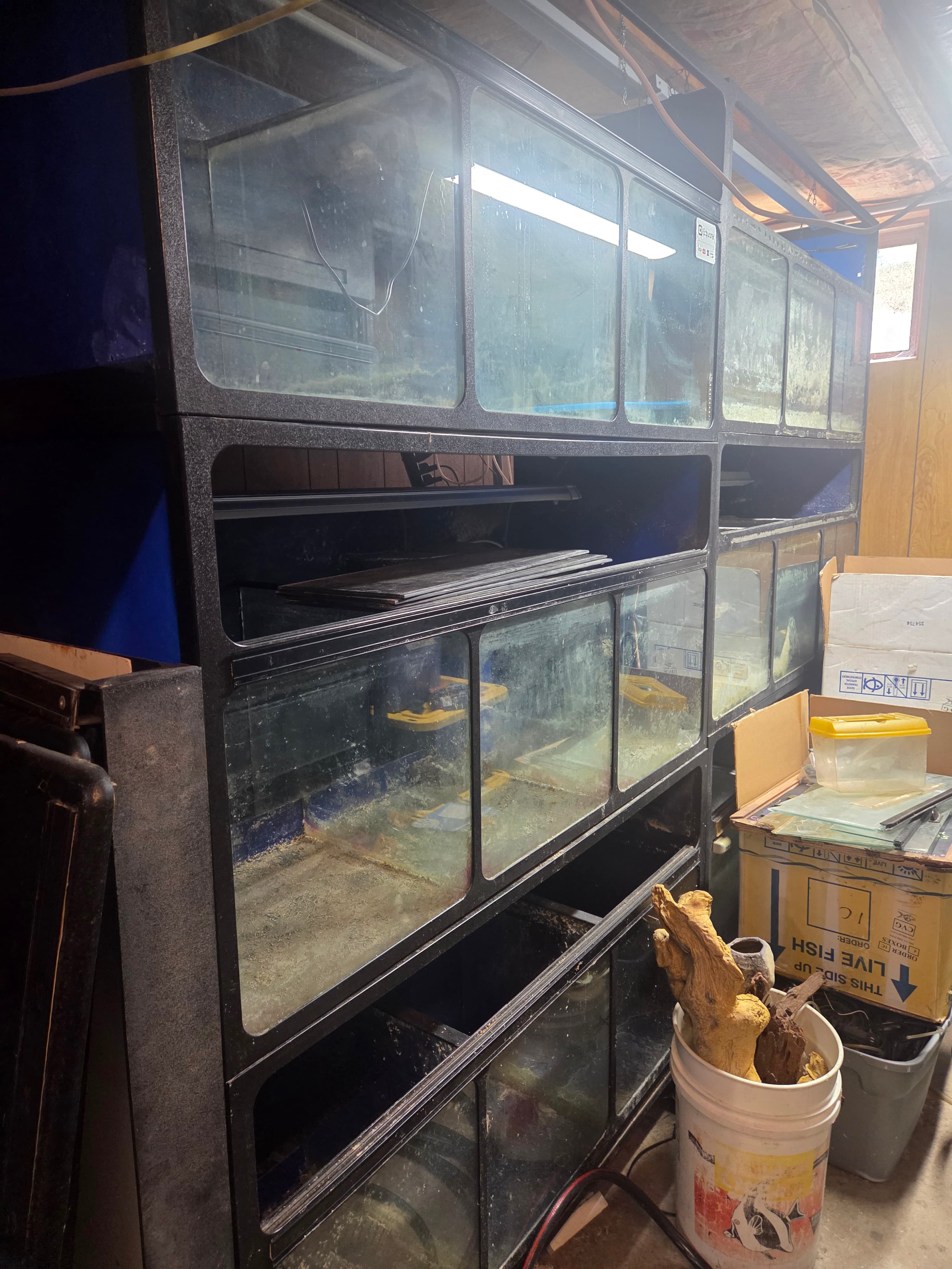 Commercial Fish Tanks - Thumbnail 3