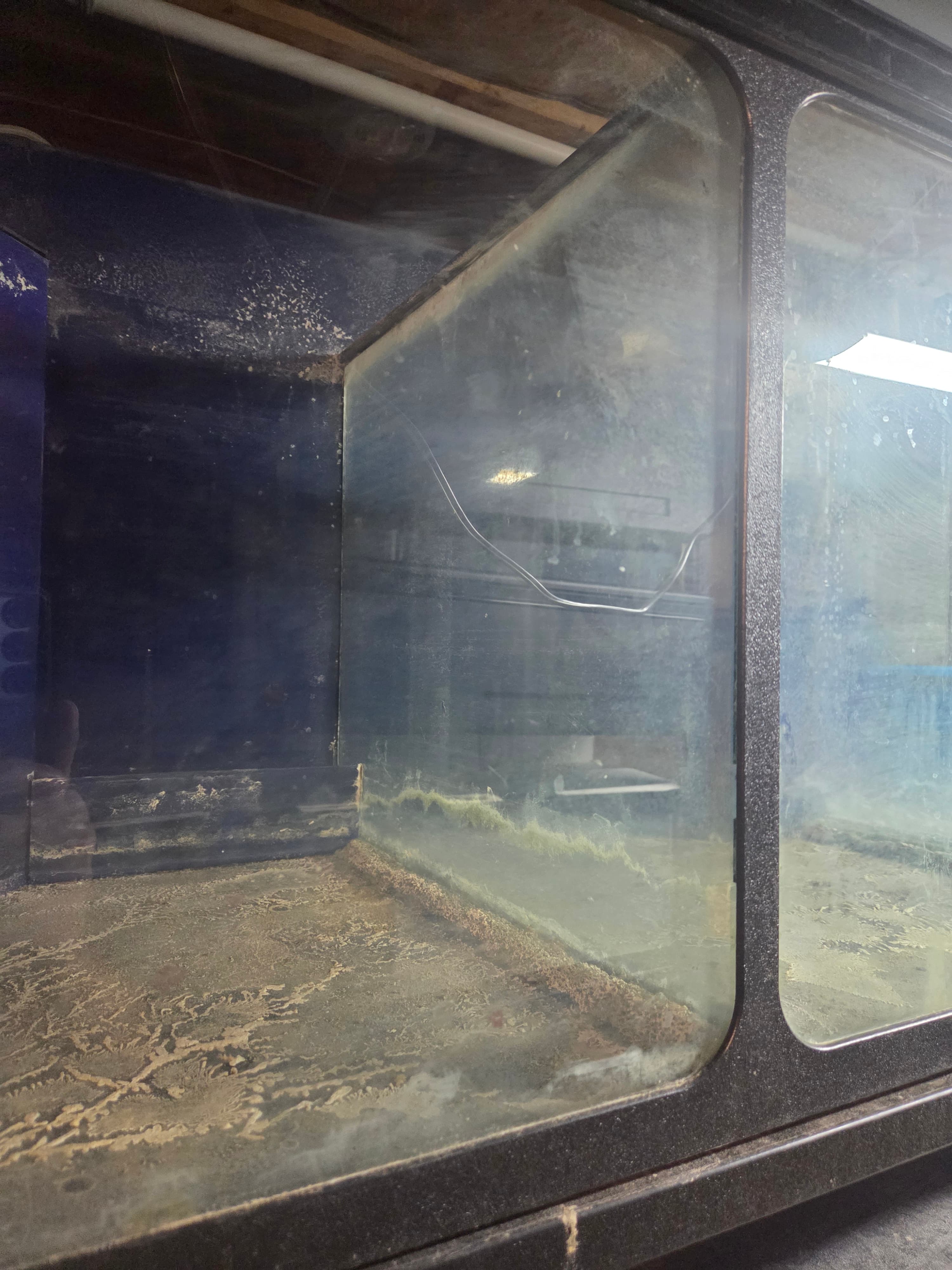 Commercial Fish Tanks - Thumbnail 4