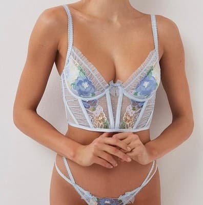 For Love & Lemons Luella Blue Floral Embroidered Lace Corset Bustier Bra Top XS