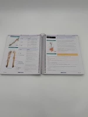 Fundamentals: Esthetics Student Study Guide by Pivot Point International FUNESSG - Thumbnail 10