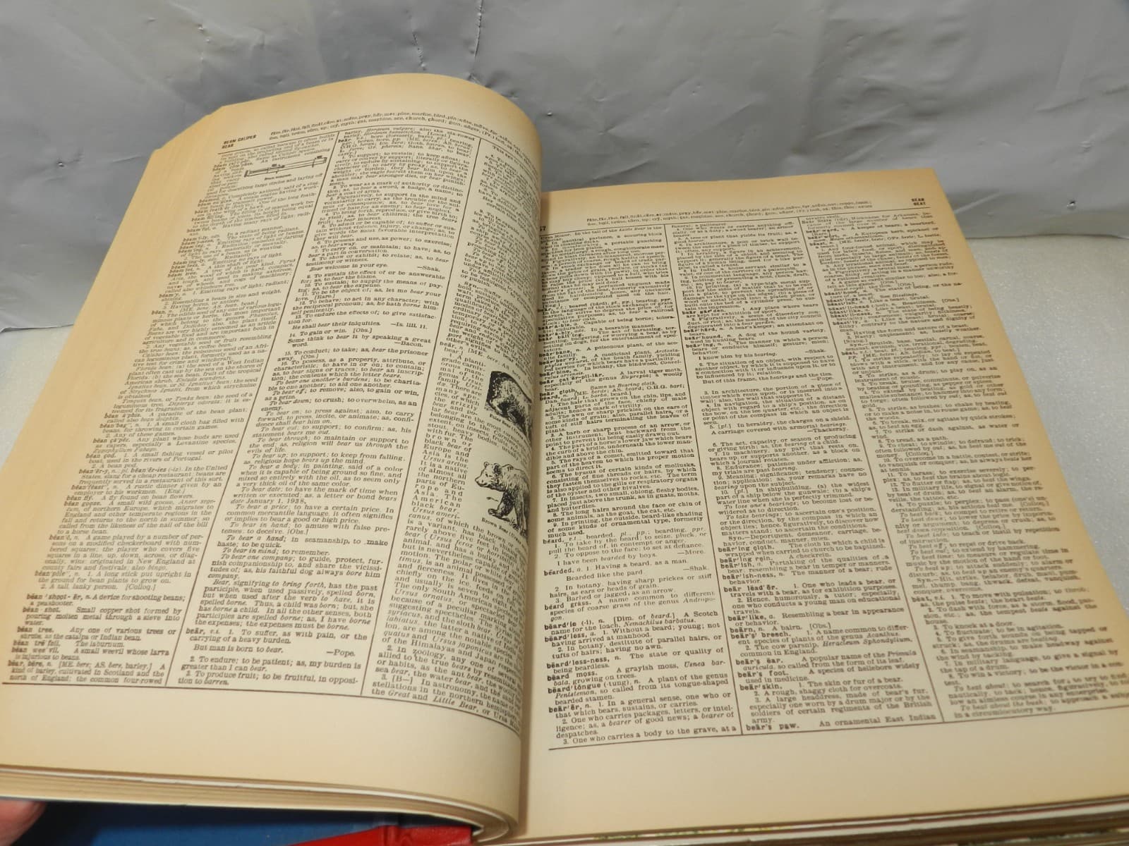 1965 Websters New 20th Century Dictionary of English Language Unabridged B30K - Thumbnail 12