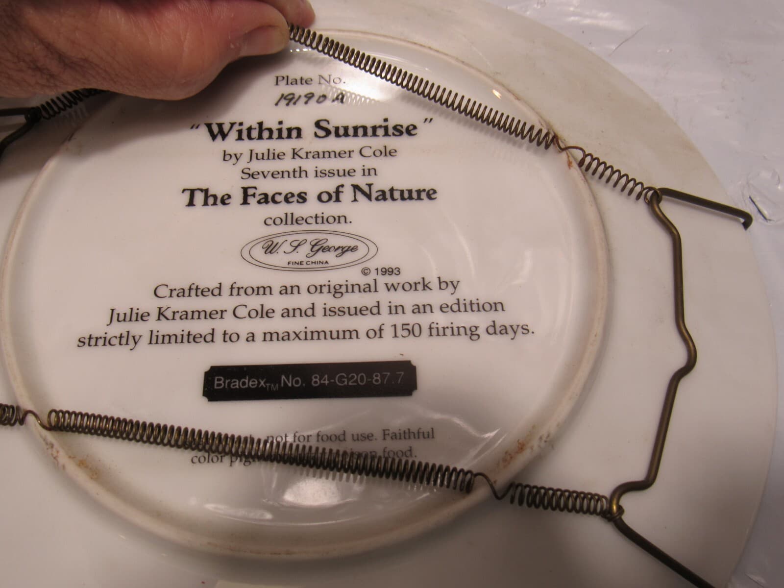 Julie Kramer Cole 1992 The Faces Of Nature Plates W.S. George (P39M) - Thumbnail 9