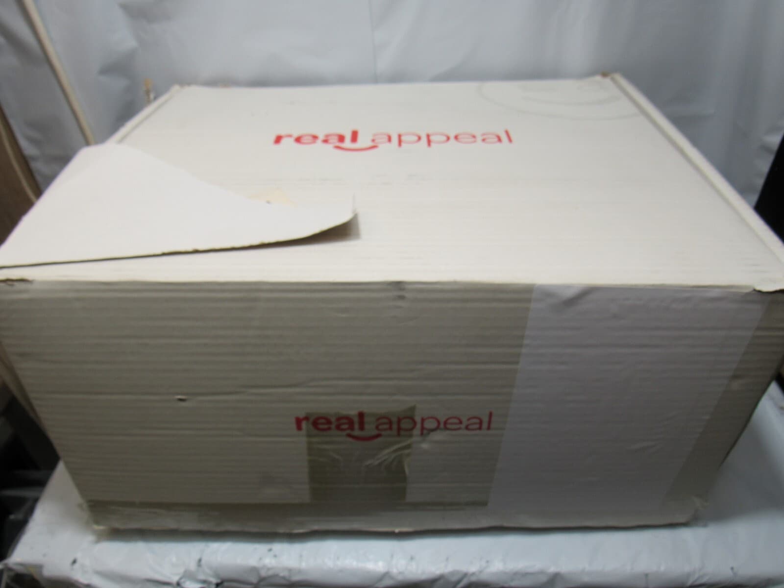 Real Appeal Success Kit Fitness Weight Loss Body Scale Food Scale Blender (P56K) - Thumbnail 13