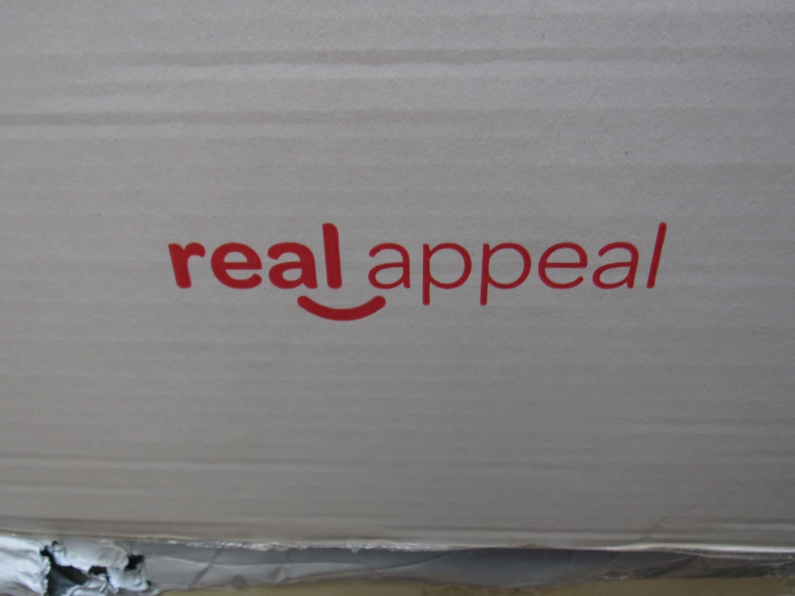 Real Appeal Success Kit Fitness Weight Loss Body Scale Food Scale Blender (P56K) - Thumbnail 12