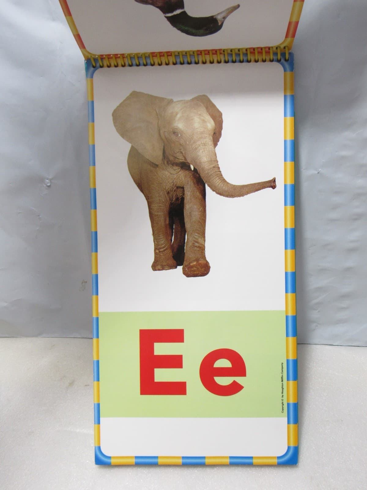 Soar to Success Sound/Spelling Cards Flip Chart Houghton Mifflin Homeschool B54J - Thumbnail 7