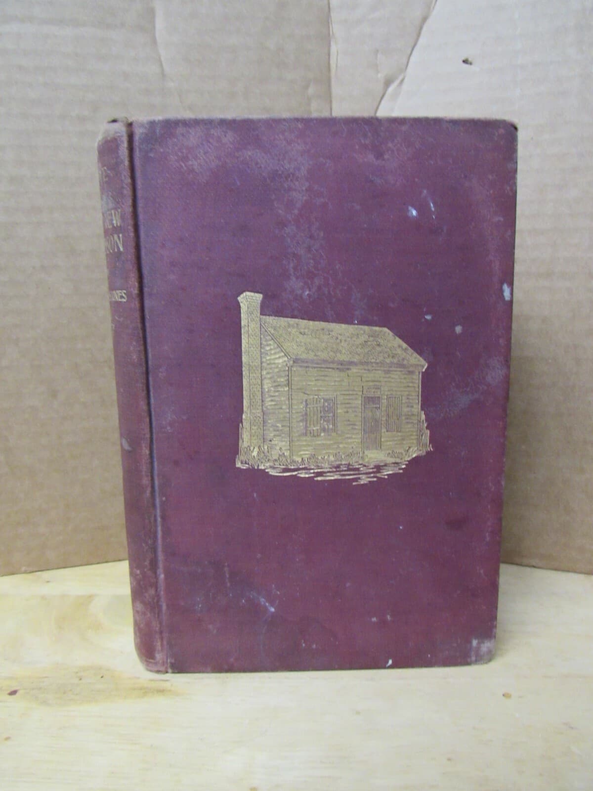The Life of SAMUEL JOHNSON By James S. Jones 1901 Hardback (J)