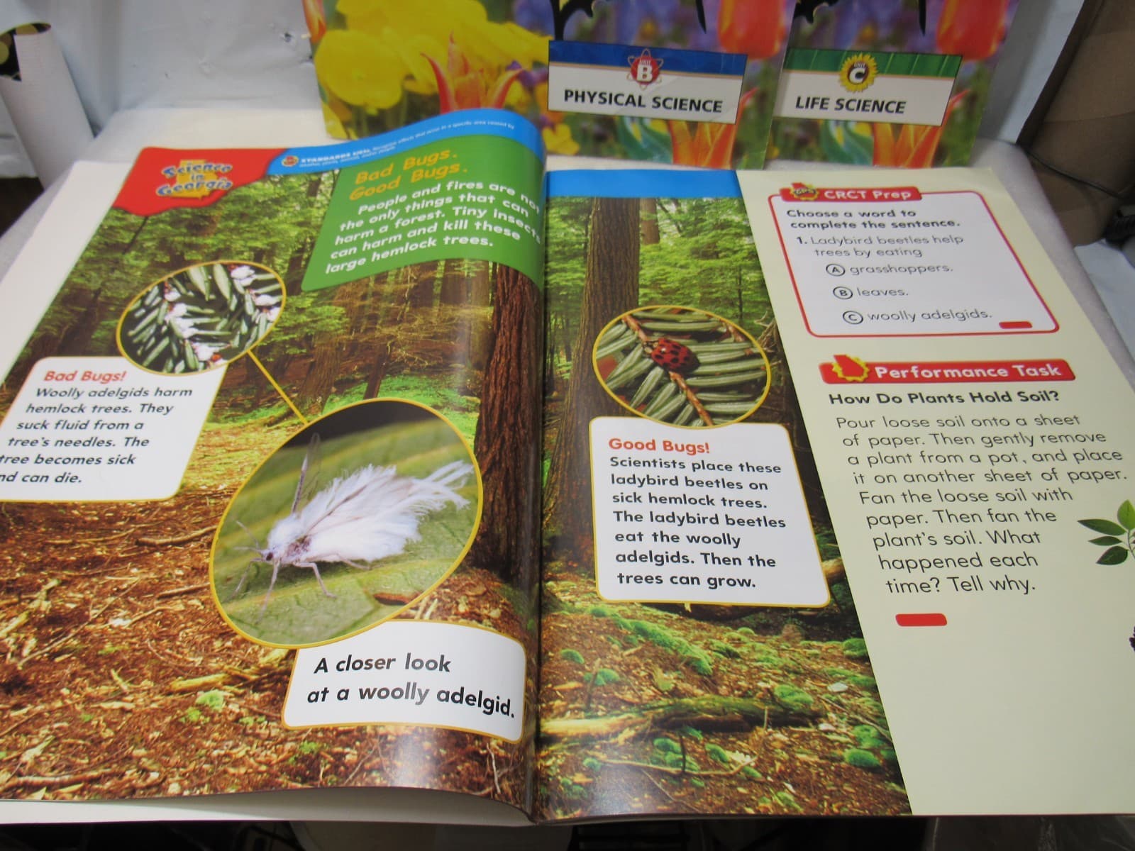 Vtg Home School Science Books Oversize Big Houghton Mifflin Classroom Education - Thumbnail 3