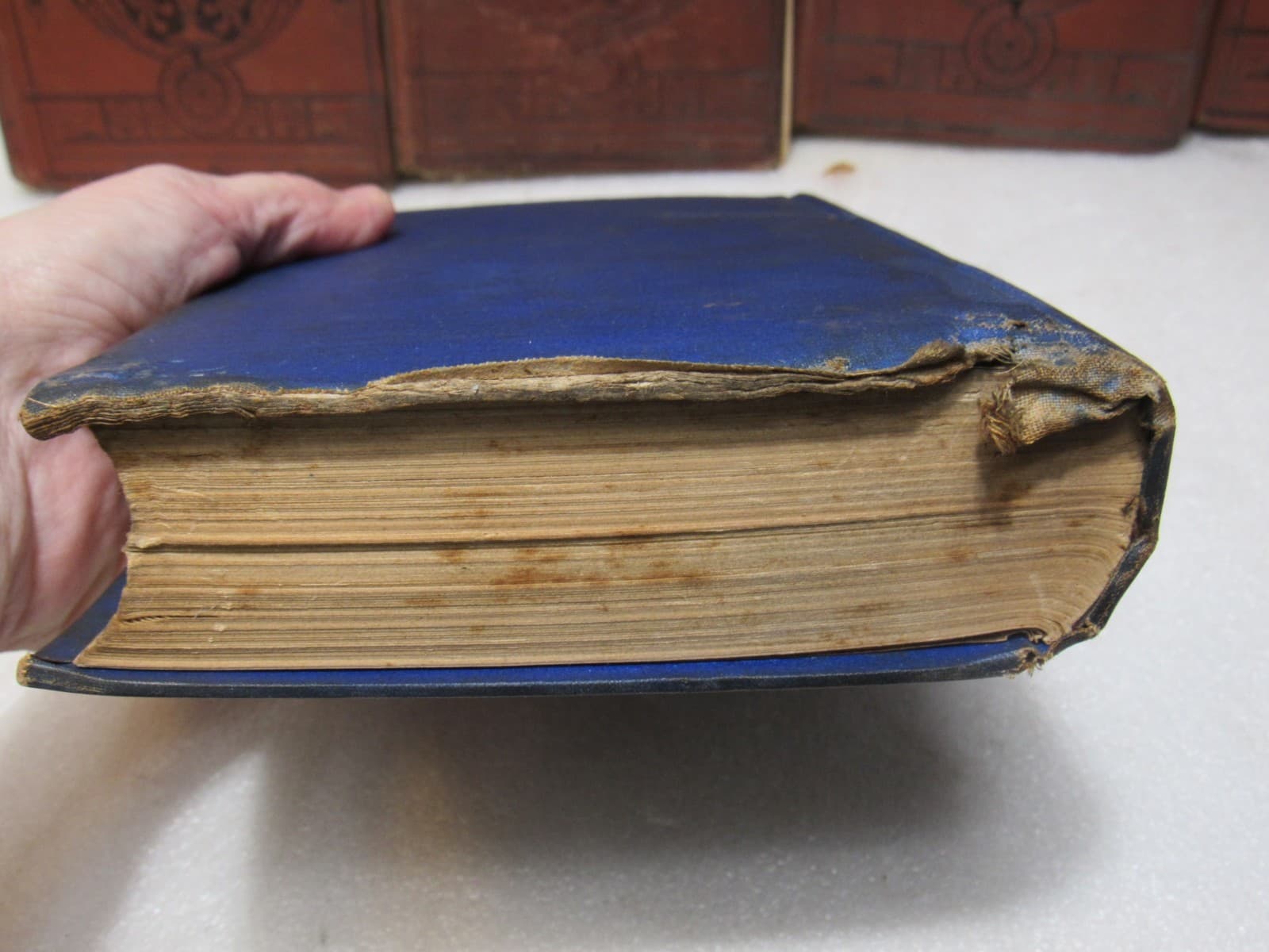 1800s Antique Books Consciences Tales Set & Willy Reilly Jane Eyre Hardcover B68 - Thumbnail 13