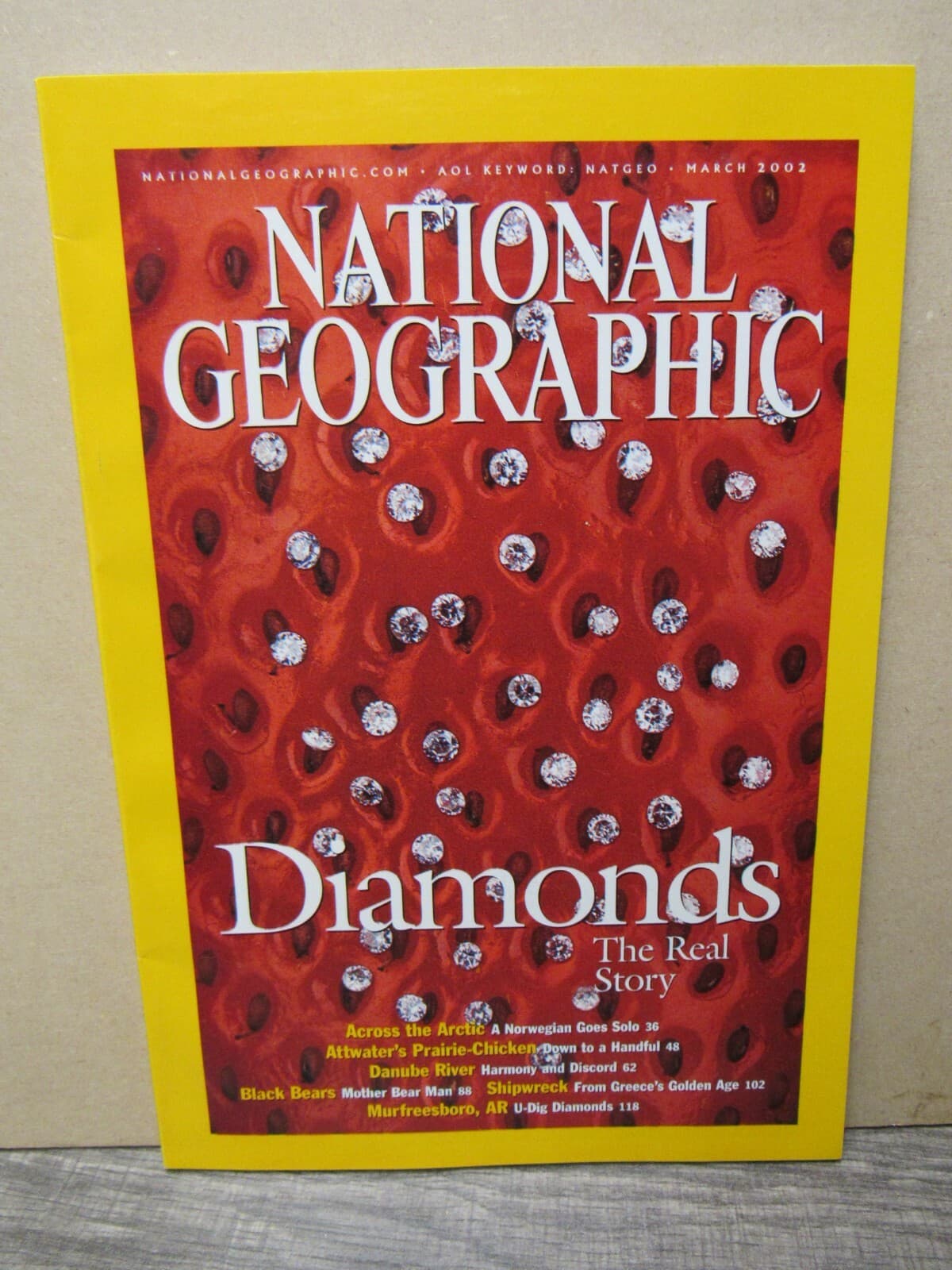 National Geographic 2002 2003 Afghan Girl Diamonds D Day Dinosaurs Mummies - Thumbnail 7