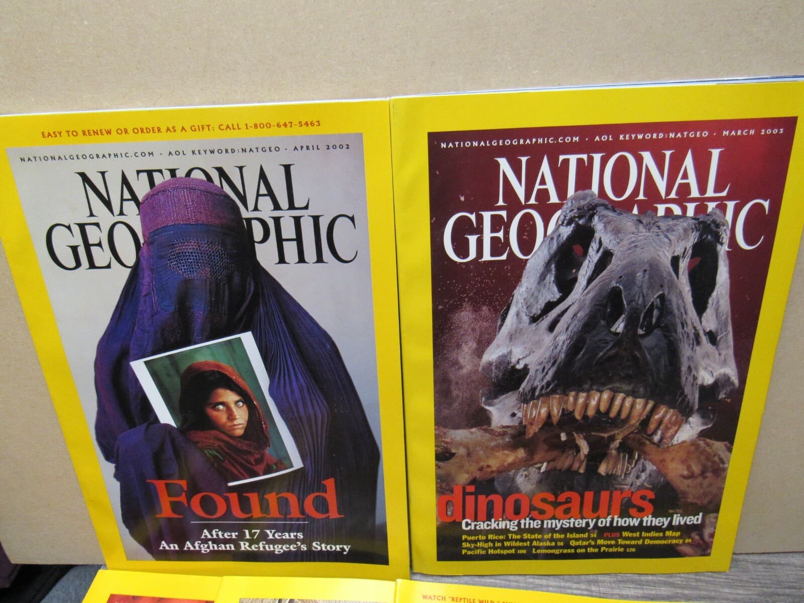 National Geographic 2002 2003 Afghan Girl Diamonds D Day Dinosaurs Mummies - Thumbnail 4