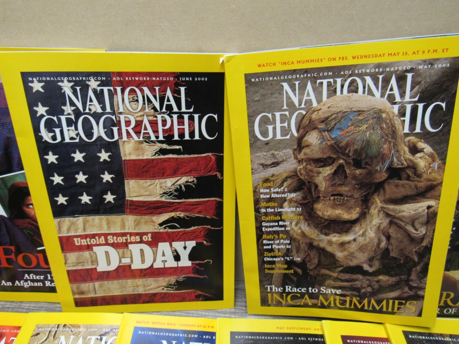 National Geographic 2002 2003 Afghan Girl Diamonds D Day Dinosaurs Mummies - Thumbnail 3