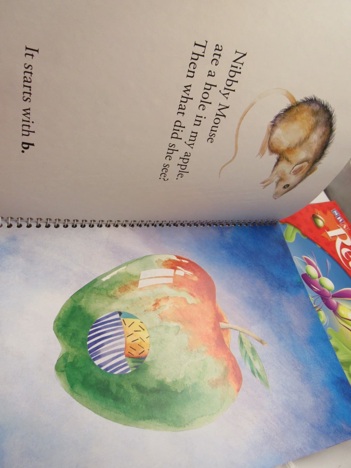 SRA 14PC Early Interventions in Reading Level K Teacher Materials Homeschool U14 - Thumbnail 11
