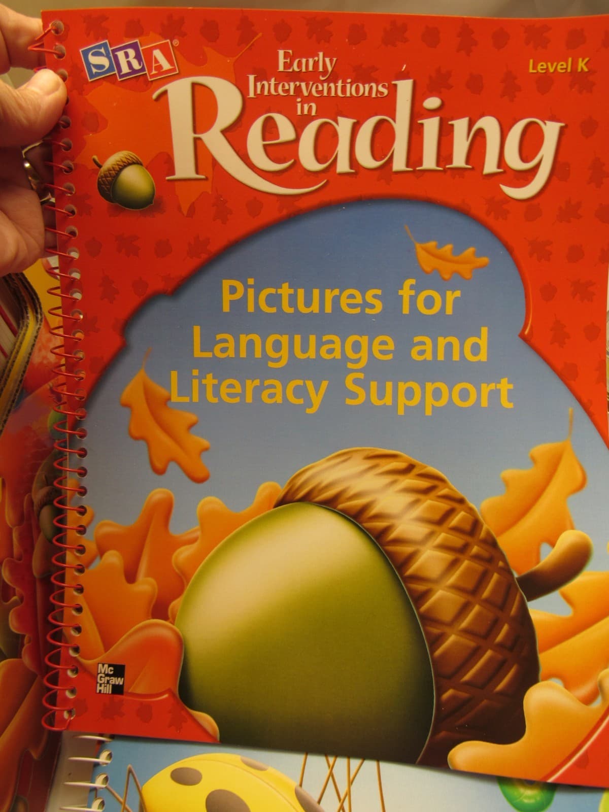 SRA 14PC Early Interventions in Reading Level K Teacher Materials Homeschool U14 - Thumbnail 12