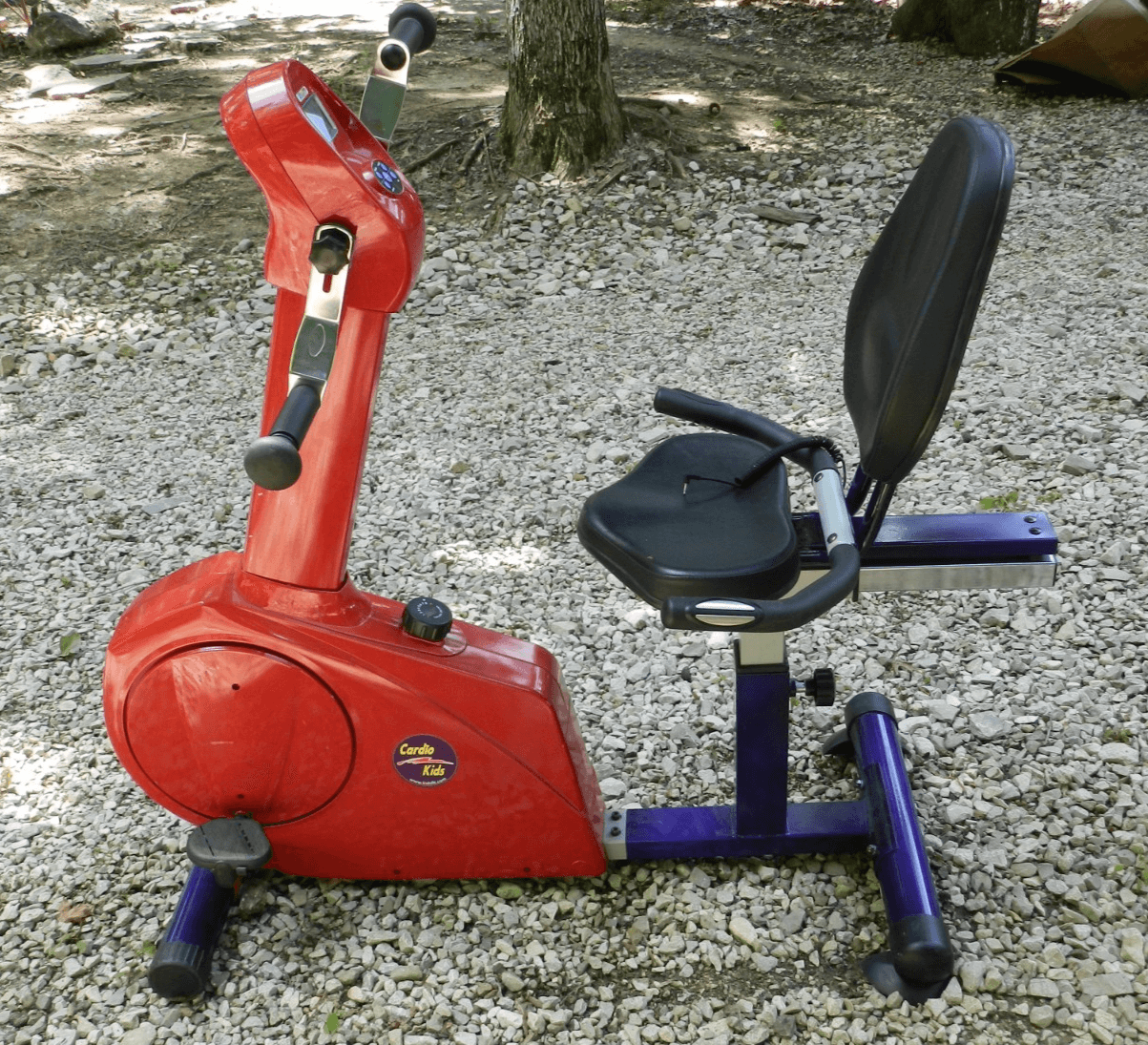 KIDSFIT Cardio Kids Fully Recumbent Total Body Exercise Bike Cycle Red Purple J