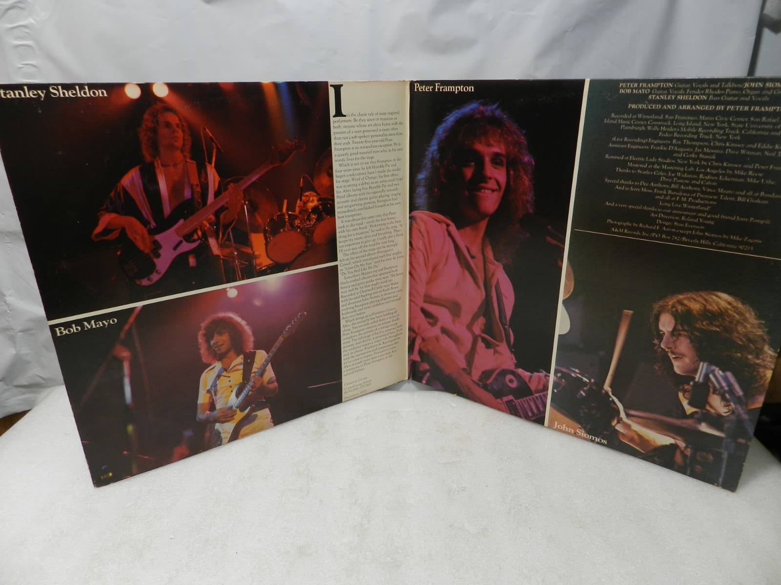 Vintage Vinyl Albums LP J Tull Steely Dan ZZ Top Cream Frampton L Skynard L76JJ - Thumbnail 11