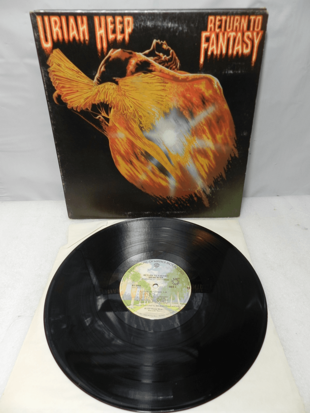 Vintage Vinyl Albums LP J Tull Steely Dan ZZ Top Cream Frampton L Skynard L76JJ - Thumbnail 3