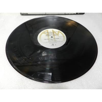 Bauhaus Album 4 AD Burning From The Inside Promotion LP Vinyl 1983 Org. (X53JJ) - Thumbnail 12