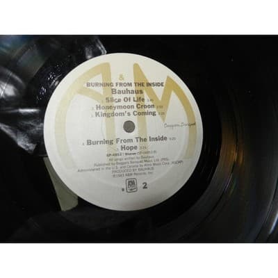 Bauhaus Album 4 AD Burning From The Inside Promotion LP Vinyl 1983 Org. (X53JJ) - Thumbnail 15